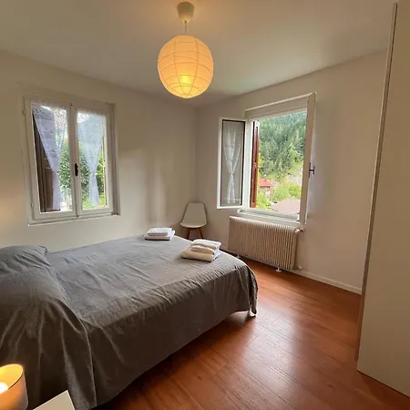 Vicino Zoncolan-Natura E Relax Apartment *